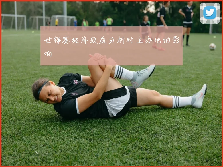 世锦赛经济效益分析对主办地的影响