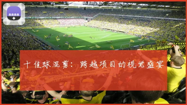 十佳球混剪：跨越项目的视觉盛宴